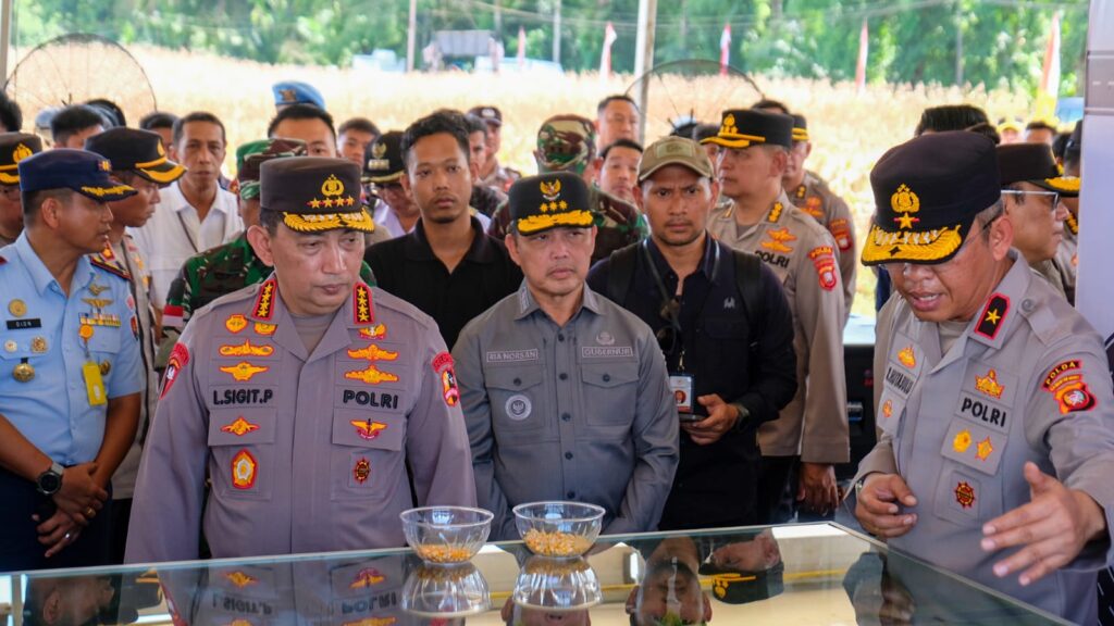 Jelang Panen Raya Jagung, Kapolri Turun Langsung Cek Lokasi ke Kalbar Jelang Panen Raya Jagung, Kapolri Turun Langsung Cek Lokasi ke Kalbar